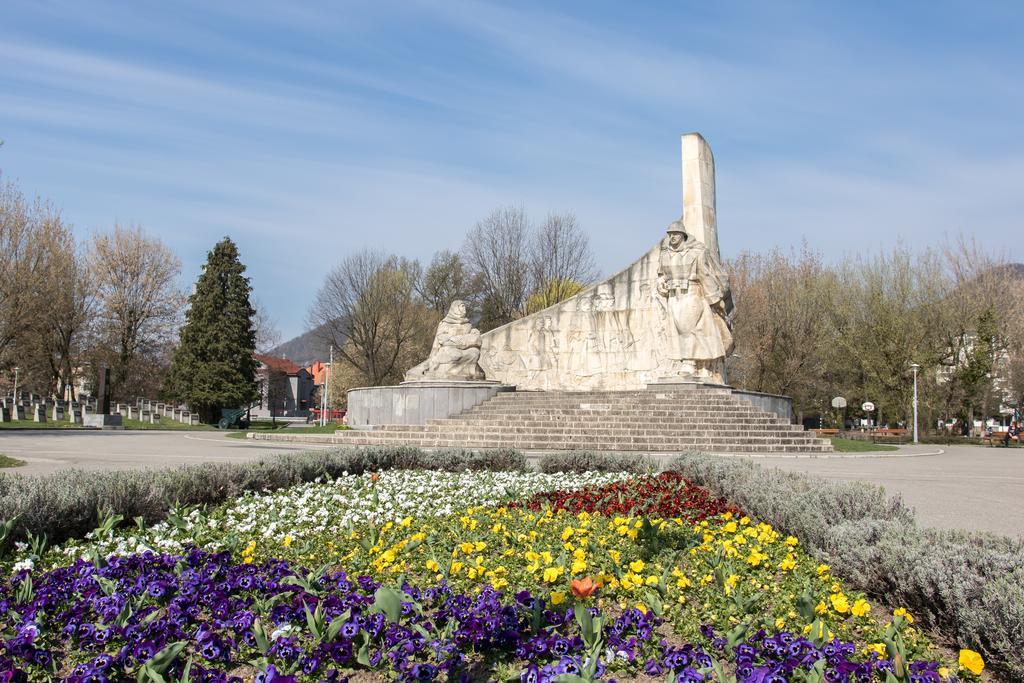 Tower View Apartment Baia Mare Zewnętrze zdjęcie